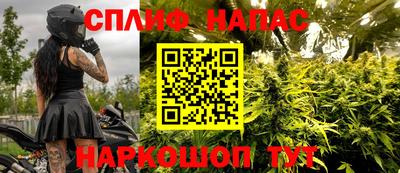 стаф Малгобек