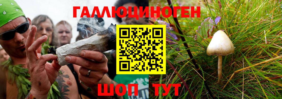 Галлюциногенные грибы мицелий  Вход с VPN  сколько стоит  Владикавказ 