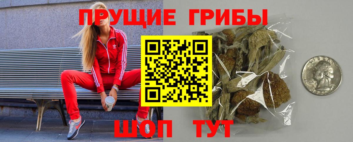 Псилоцибиновые грибы мицелий Владикавказ